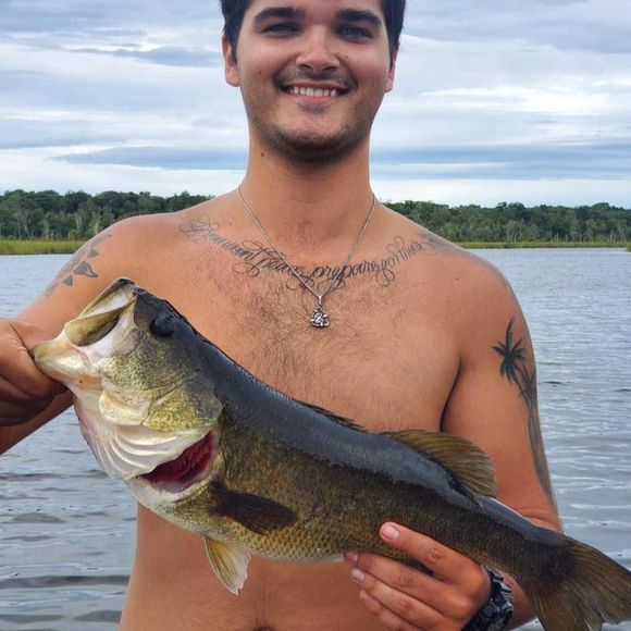 Meet your Posher, Lance - Picture 1 of 1